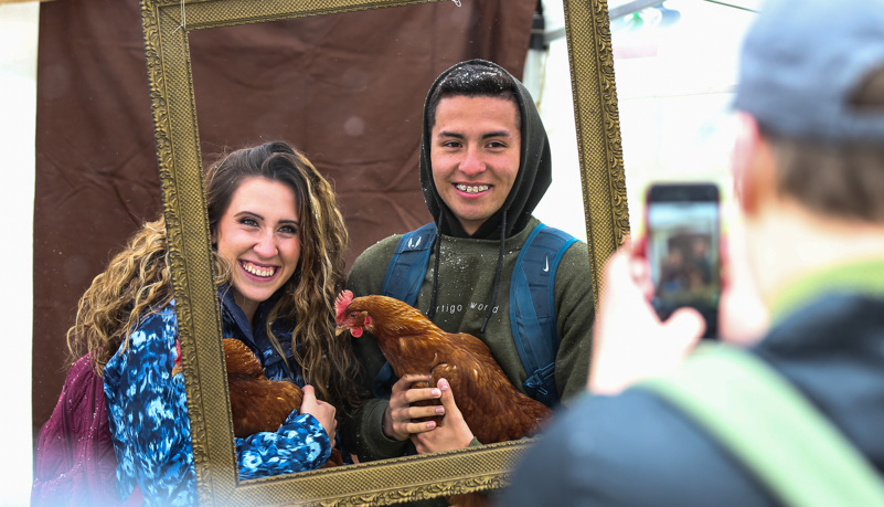 Student getting photos with chickens